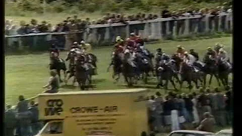 1979 Derby Stakes