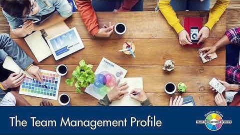 Overview of the Team Management Profile
