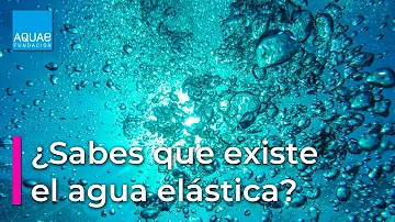 ¿Qué tipo de elasticidad tiene el agua?