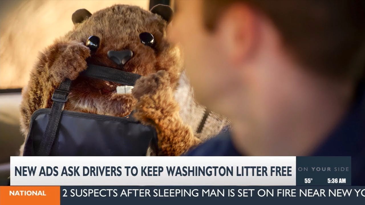 New ad featuring marmot asking Washingtonians to not litter - YouTube