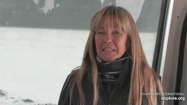 Tundra Reflections with JoAnne Simerson | Tundra C...