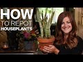 How to Repot a Houseplant 🌿// Garden Answer