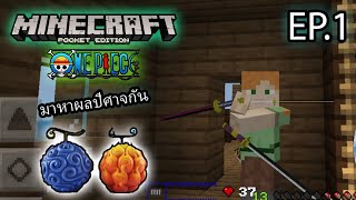 ตามล่าหาผลปีศาจในมายคราฟ | Minecraft PE OnePiece EP.1