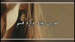 شعر پشتو تیک تاک