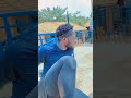 POV after training