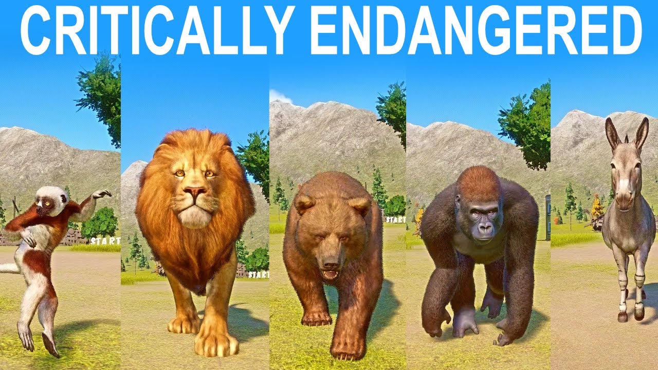 Critically Endangered Species Speed Race in Planet Zoo included ...