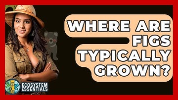 Where Are Figs Typically Grown? - Ecosystem Essentials