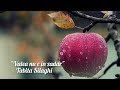 Tabita Silaghi. "Valea nu e în zadar"