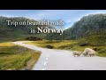 Trip on beautiful roads in Norway (all the way from Kongsberg to Lisebotn)