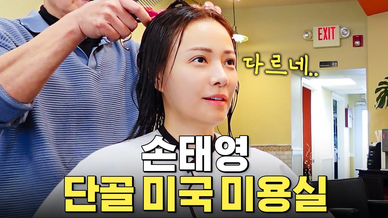 배우 손태영이 미국 미용실에서 머리하다가 깜짝 놀란 이유 (feat.산책하는 고양이)