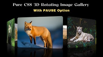 Pure CSS 3D Rotating Image Gallery | HTML and CSS project | Creative JS Coder
