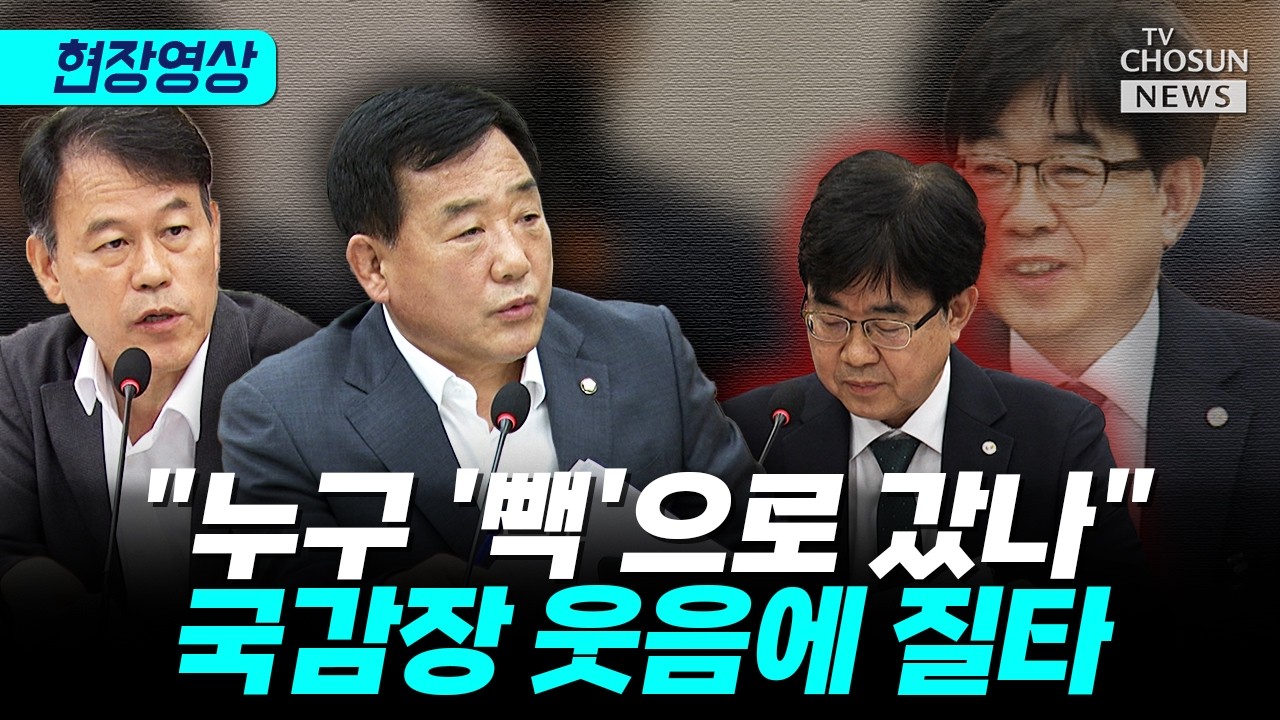 "누구 '빽'으로 갔나"···'김어준 처남', 국감장 웃음에 질타 [티조 Clip]