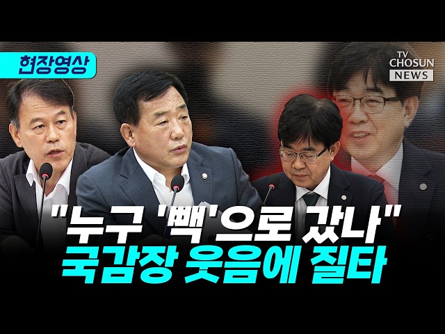"누구 '빽'으로 갔나"···'김어준 처남', 국감장 웃음에 질타 [티조 Clip]