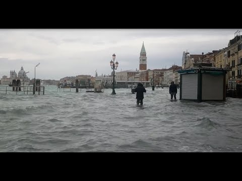 Video: Mergând în Veneția