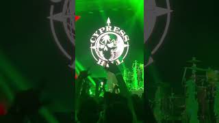 Dr Greenthumb Cypress Hill Picnic 2022