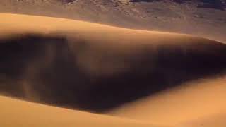 National Geographic Wild - The NAMIB DESERT HORSE - Born to Survive -Africa's Wild