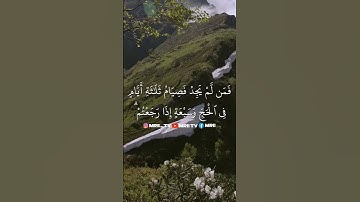 ماهر المعيقلي - سورة البقرة ( برواية حفص عن عاصم ) الأية 196