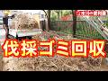 【伐採ゴミ回収処分】乾燥させた球根,雑草,ツル,地下茎,支柱,プランター回収🚚江戸川の便利屋軽トラ登場🚛今回の積載総量は何キロ？千葉県市川市の便利屋！各作業料一覧、お問い合わせ先は概要欄をご覧下さい！
