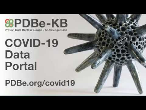 PDBe-KB COVID-19 Data Portal - find all structure data for SARS-CoV-2 proteins