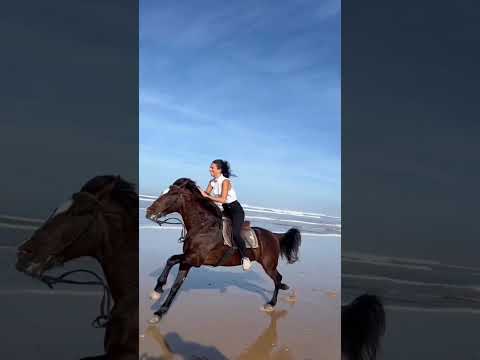 Riding horse in the Beach #shorts