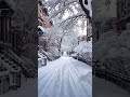 Canada Winter Snow 🇨🇦 #canada #winter #snow