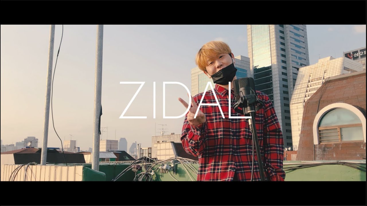 모모랜드 - 뿜뿜 [Cover by ZIDAL] - YouTube