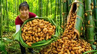 [TIMELAPSE] -- 288 Days Harvesting Bamboo Worms From Bamboo Stems | Village Market Sell