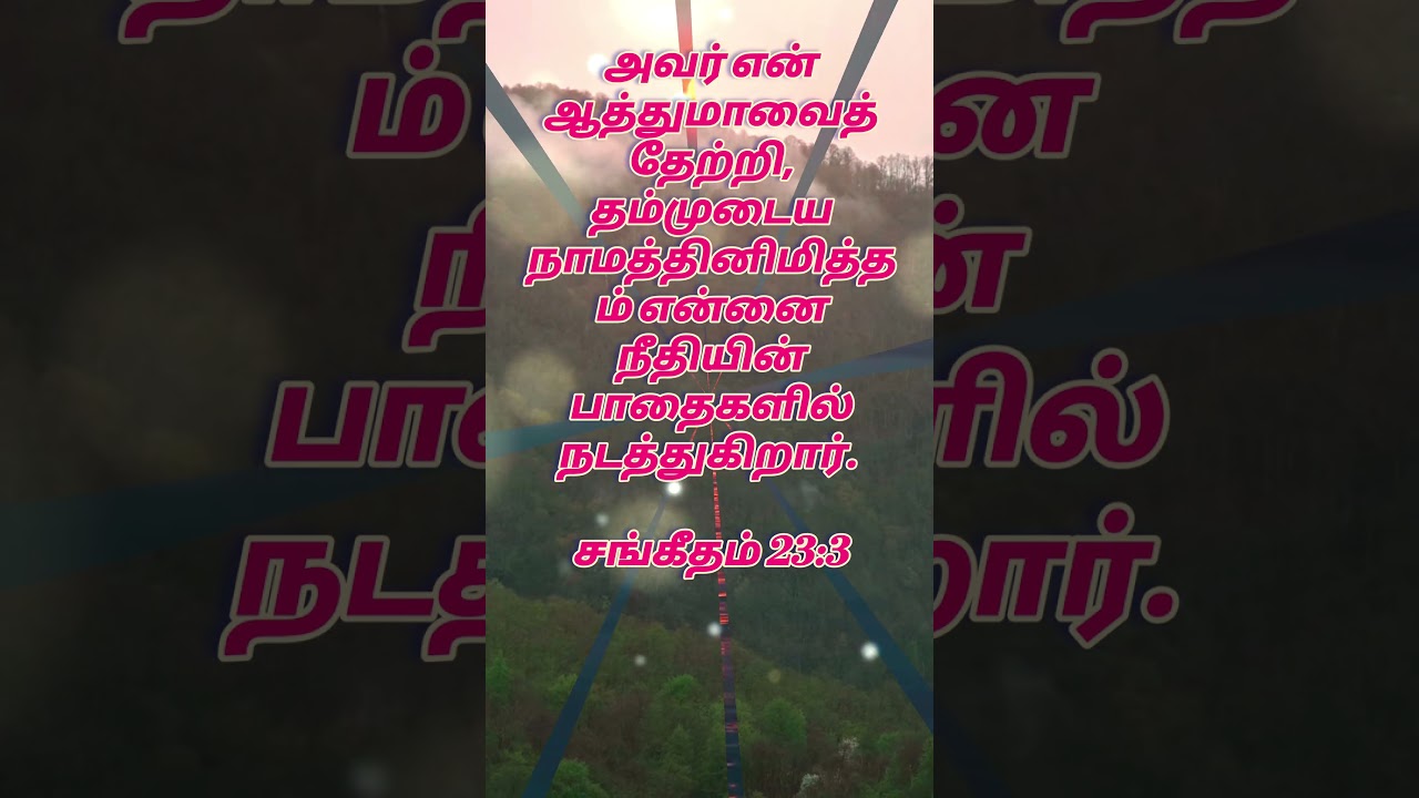 தேவனே என் ஜெபம்கேளும் | Bro. VINCENT PACHAIMAL