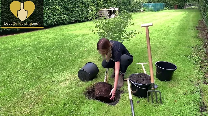 How to Plant and Stake a Tree with Katie Rushworth