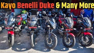Benelli Tnt 300||Kayo||Duke & Many More