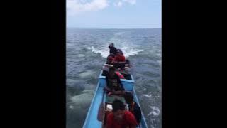 Lagu Bajo sedih dan menyakitkan isi lagunya.