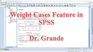 Weight Cases Feature in SPSS