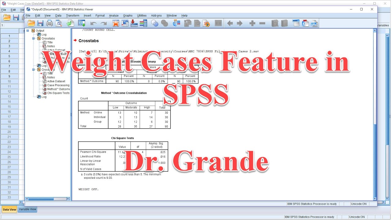 How To Weight Data In Spss