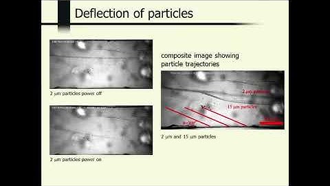 Particle separation using bulk acoustic waves in a tilted angle microfluidic channel