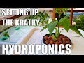 Growing With Kratky Hydroponics