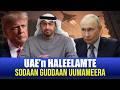 ODUU AMMEE Halkan 17 05 2026 UAE N Haleelamte Sodaan Guddaan Uumameera Walitti Dhaadataa Jiran 