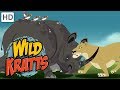 Wild Kratts - Best Season 1 Moments! (Part 9) | Kids Videos