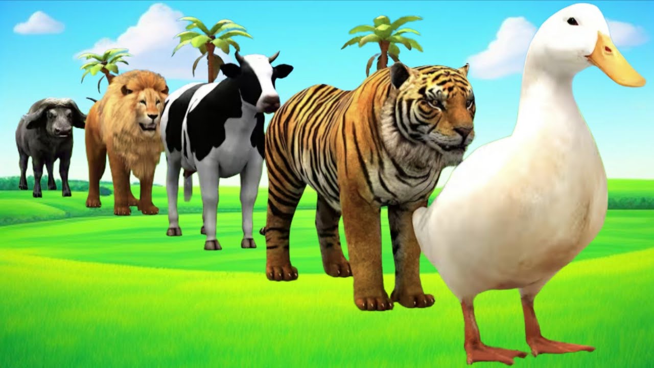 Long Slide Game With Cow Elephant Gorilla Hippopotamus Tiger 3d Animal Game Funny 3d Animation s