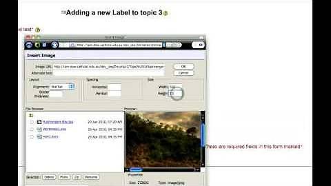 Moodle 1.9 - Insert an Image.mov