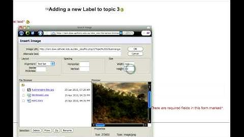 Moodle 1.9 - Insert an Image.mov