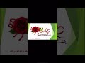 مهارات الخطابة والالقاء 