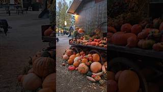 Парк Тиволи в Копенгагене #tivolipark#kopenhagen#danmark#halloween#amusementpark#дания#копенгаген