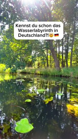 Kennst du schon dieses atemberaubenden Wasserlabyrinth in Deutschland?!🤯