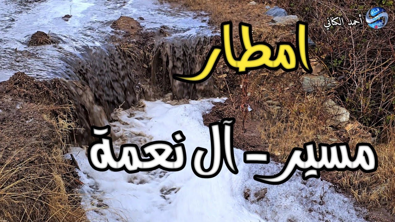 هطول امطار على قرى مسير - وآل نعمة بدوس - محافظة المندق بمنطقة الباحة - الأربعاء 16-8-1447 