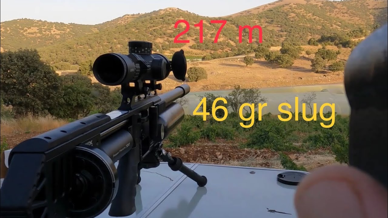 Fx m3 .25 Cal. 46 gr slug