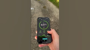 StepsApp Pedometer & Step Counter