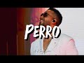Romeo Santos - Perro (Letra)