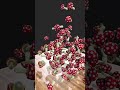 "Mesmerizing 3D Mushroom Loop Animation 🍄✨ | Satisfying Falling Mushrooms" #3danimation #roblox