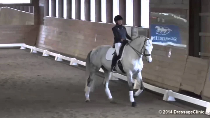 NEDA  2014 Ingrid  Klimke Assisting Pam Goodrich o...