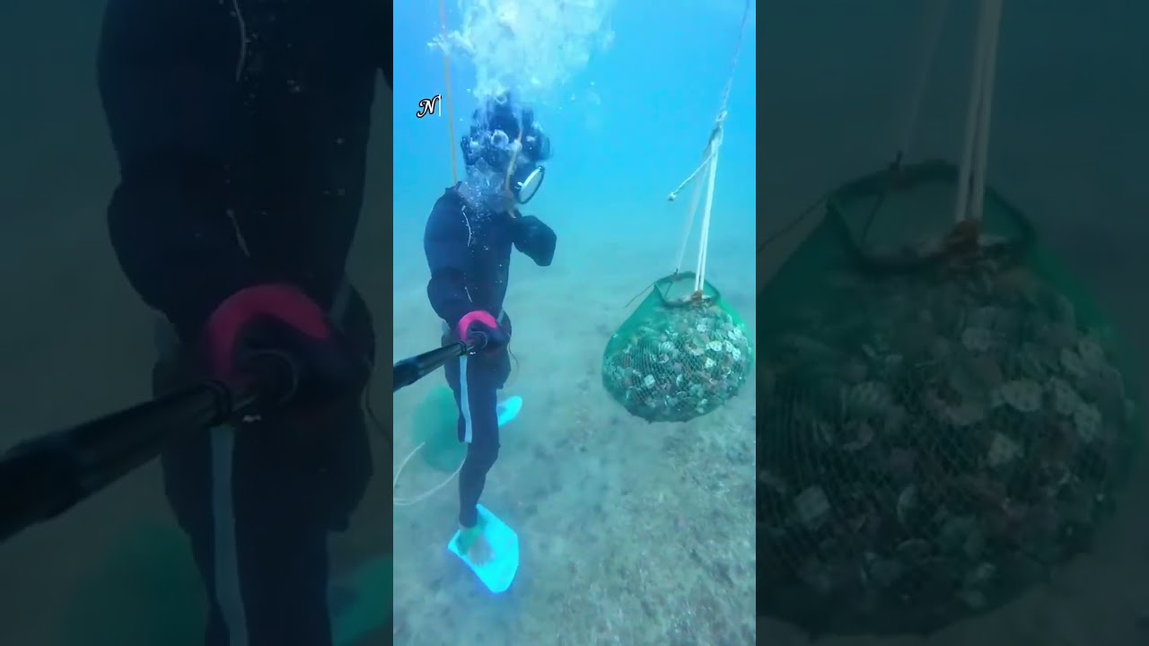 Sa ilalim ng dagat #seafoods #sea #shells #fisherman 